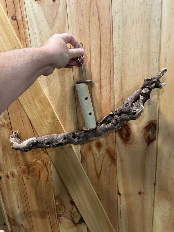Swinging Sway Foraging Perch Plus (Large) Swinging Sway Foraging Perch Plus (Large)