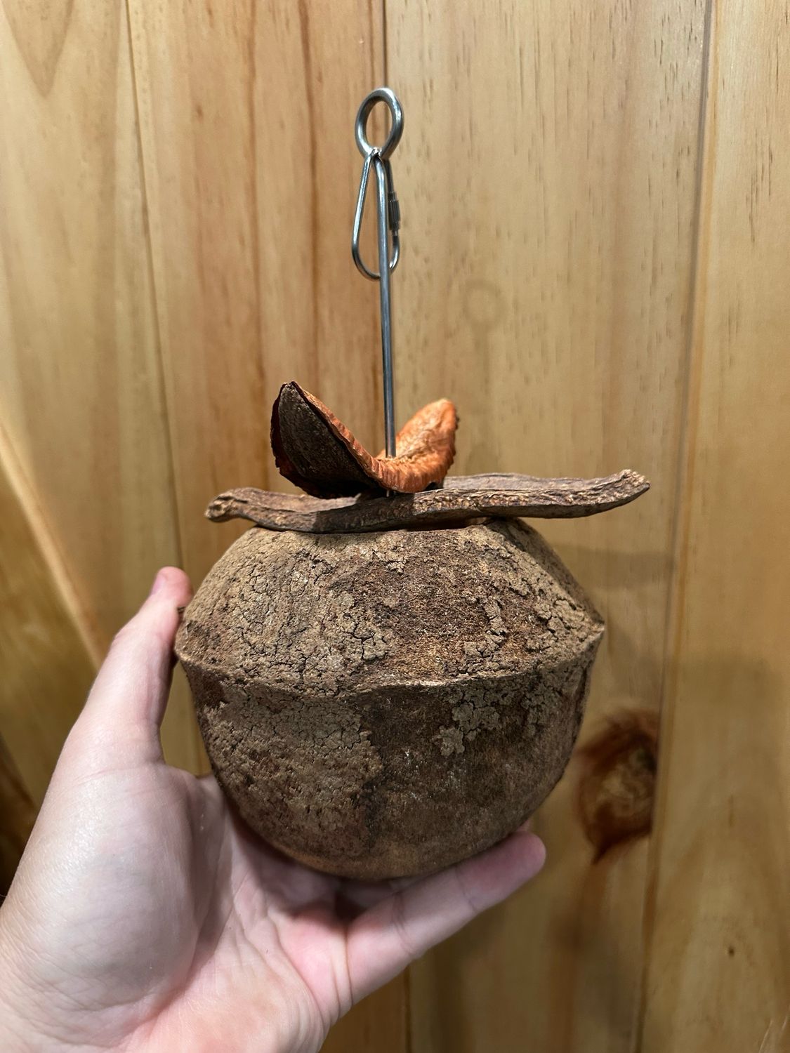Monkeypods Plus Foragers