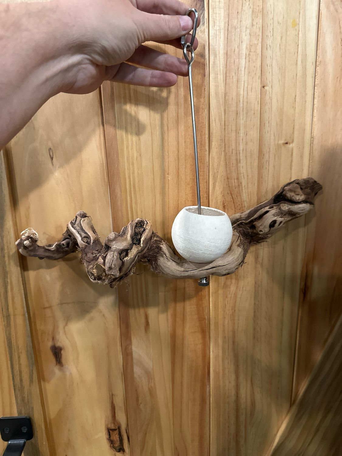 Swinging Sway Foraging Perch Plus (Medium)
