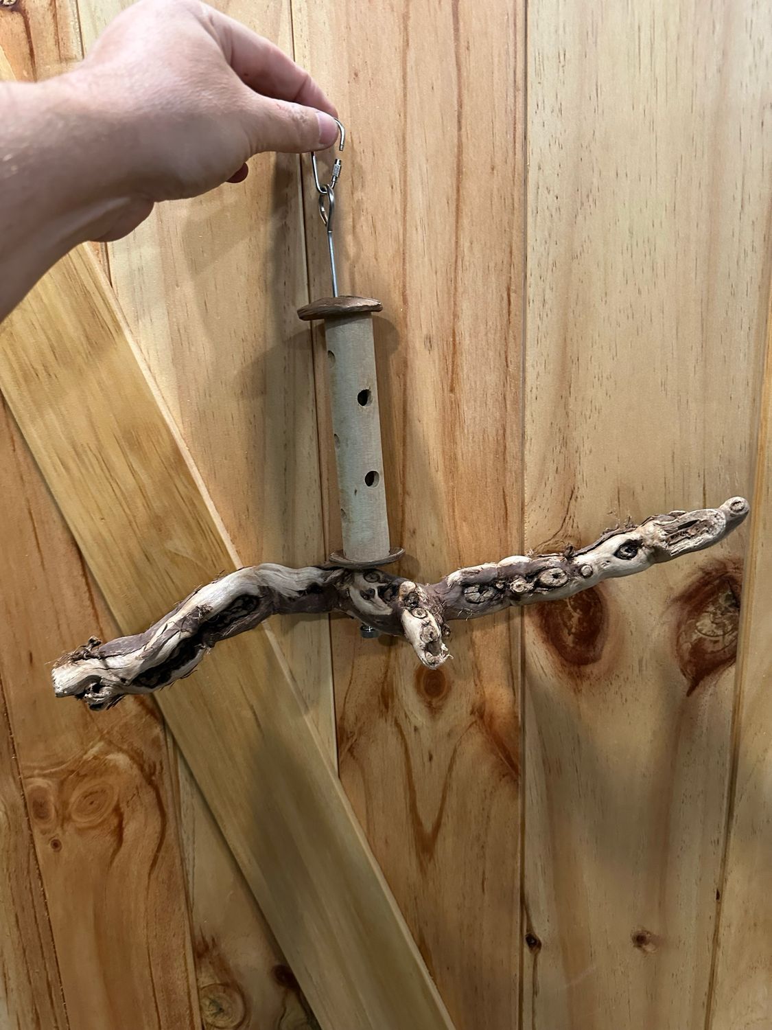 Swinging Sway Foraging Perch Plus (Medium)