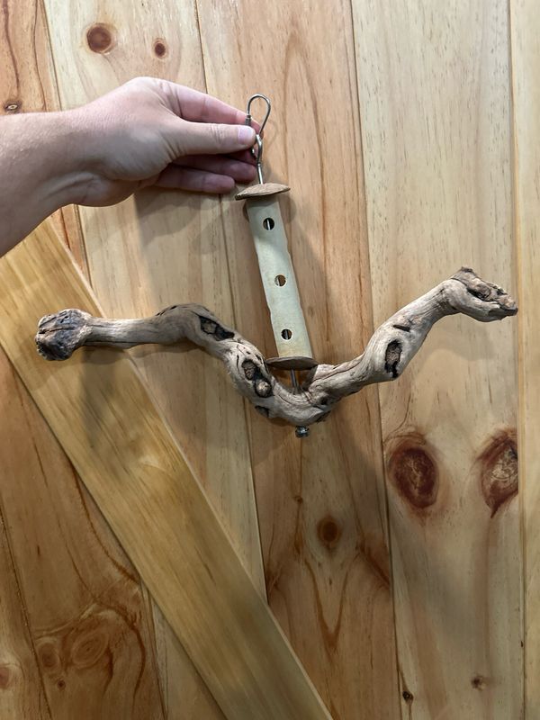 Swinging Sway Foraging Perch Plus (Medium)