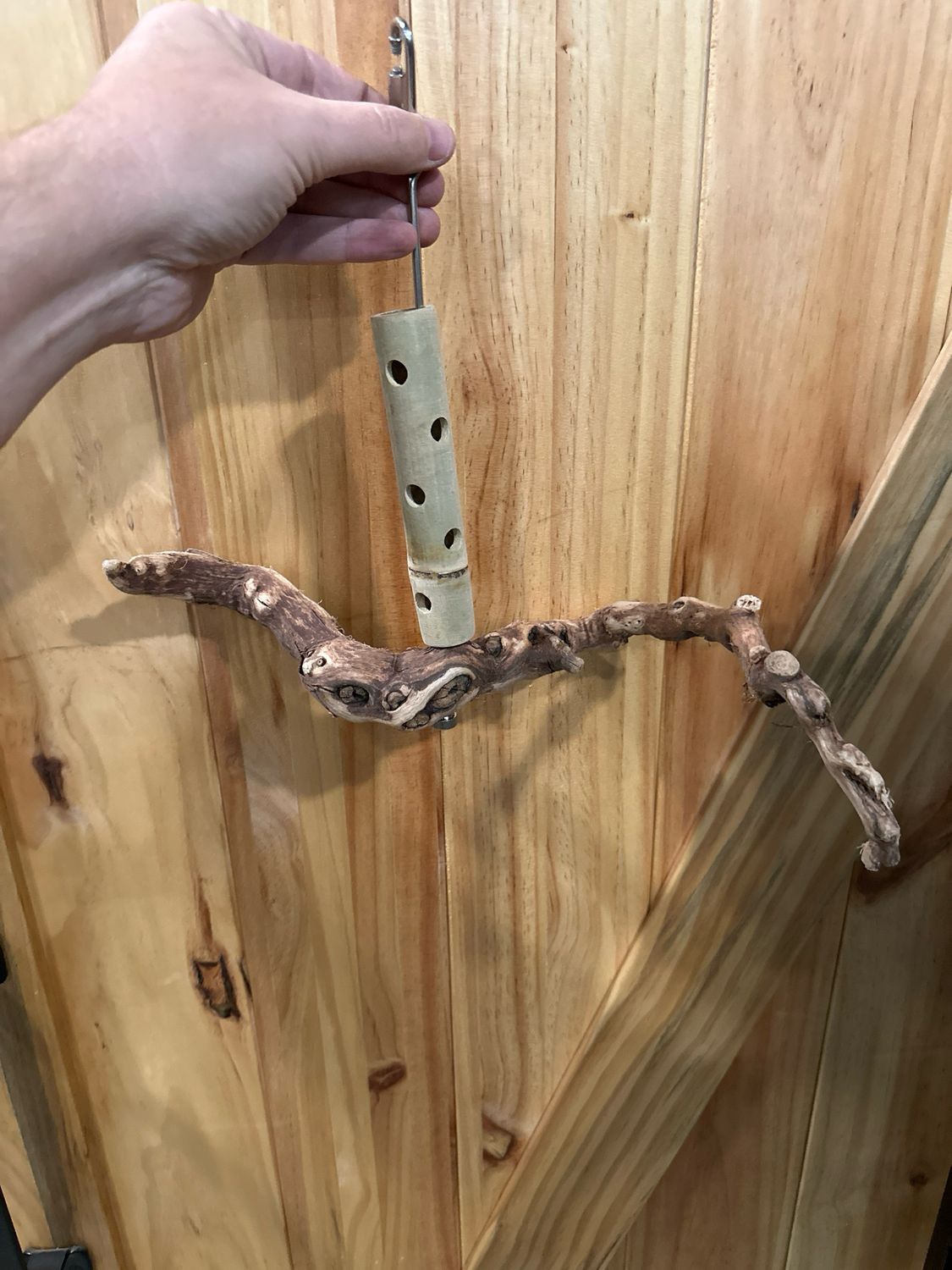 Swinging Sway Foraging Perch Plus (Medium)