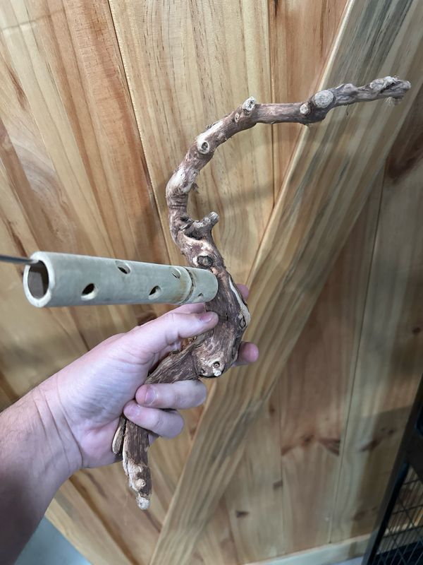 Swinging Sway Foraging Perch Plus (Medium)