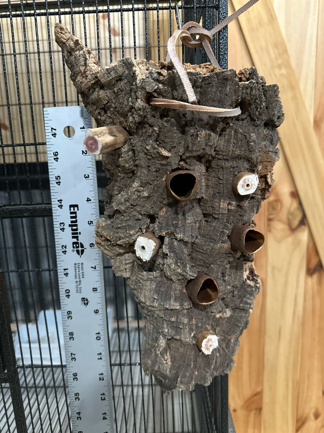 Chunky Corkwood Climbing Wall (Medium)