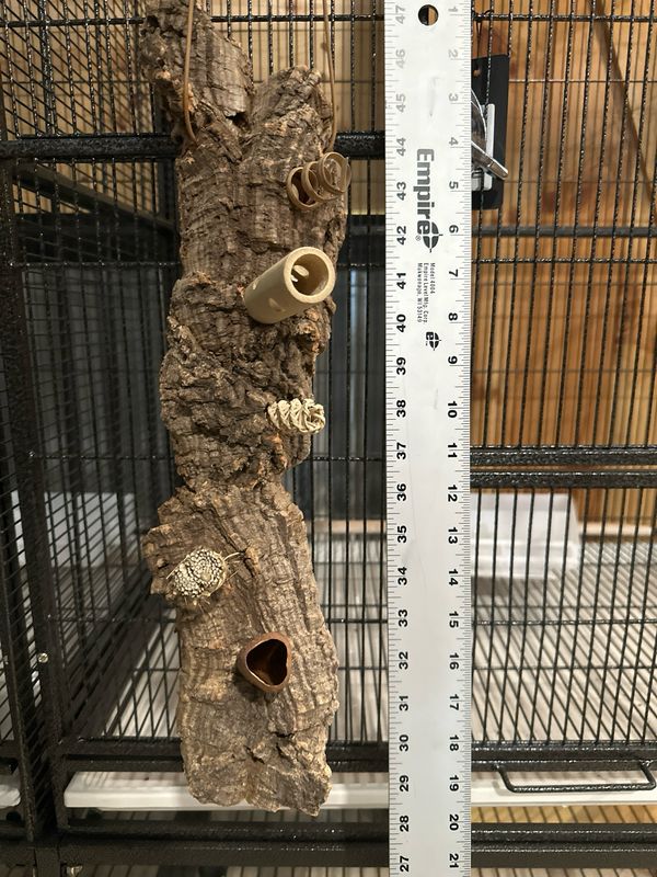 Chunky Corkwood Climbing Wall (Small)