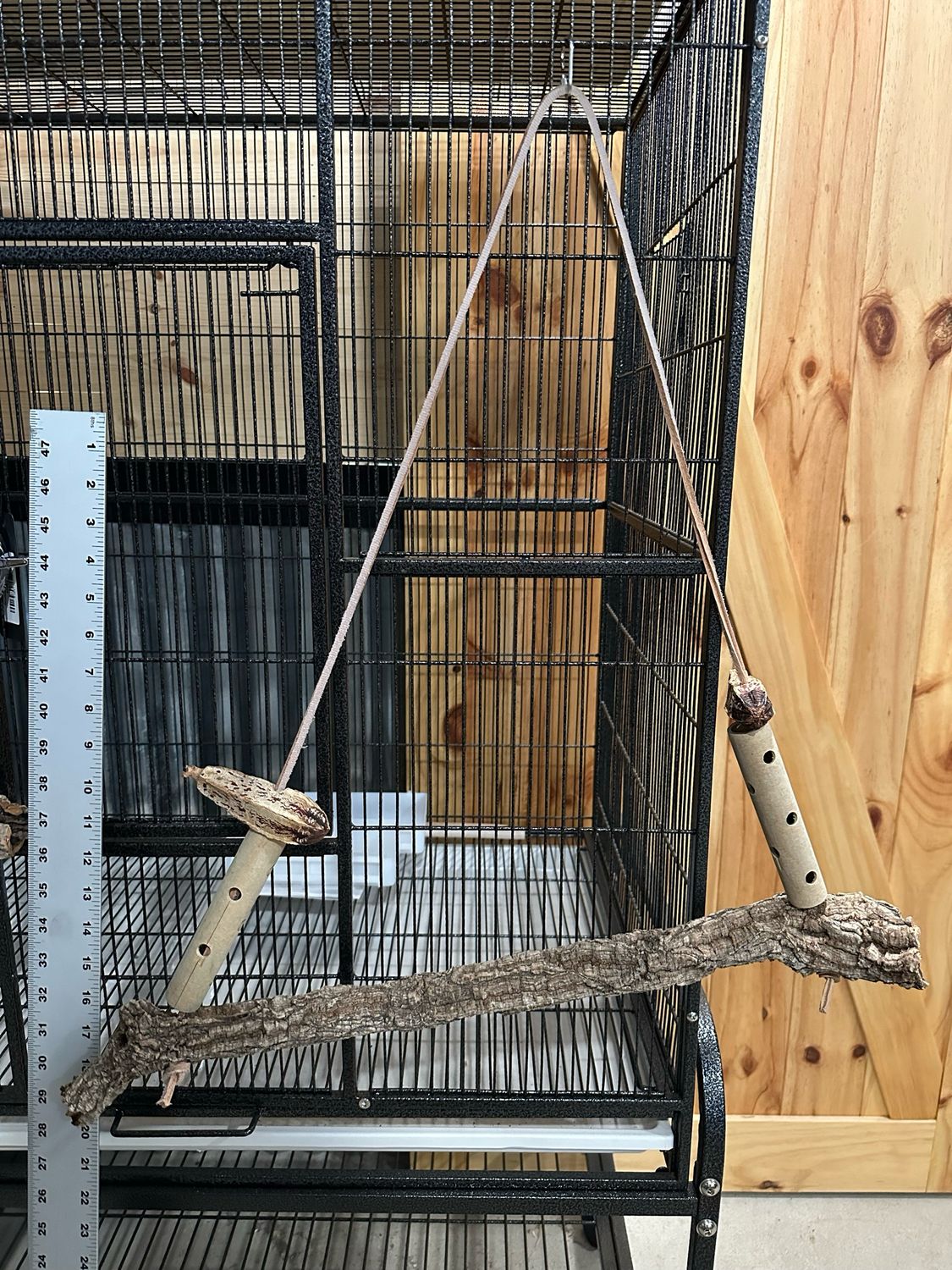 Swingin’ Sway Foraging Swing