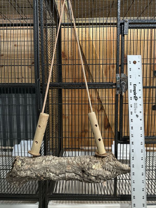 Swingin’ Sway Foraging Swing