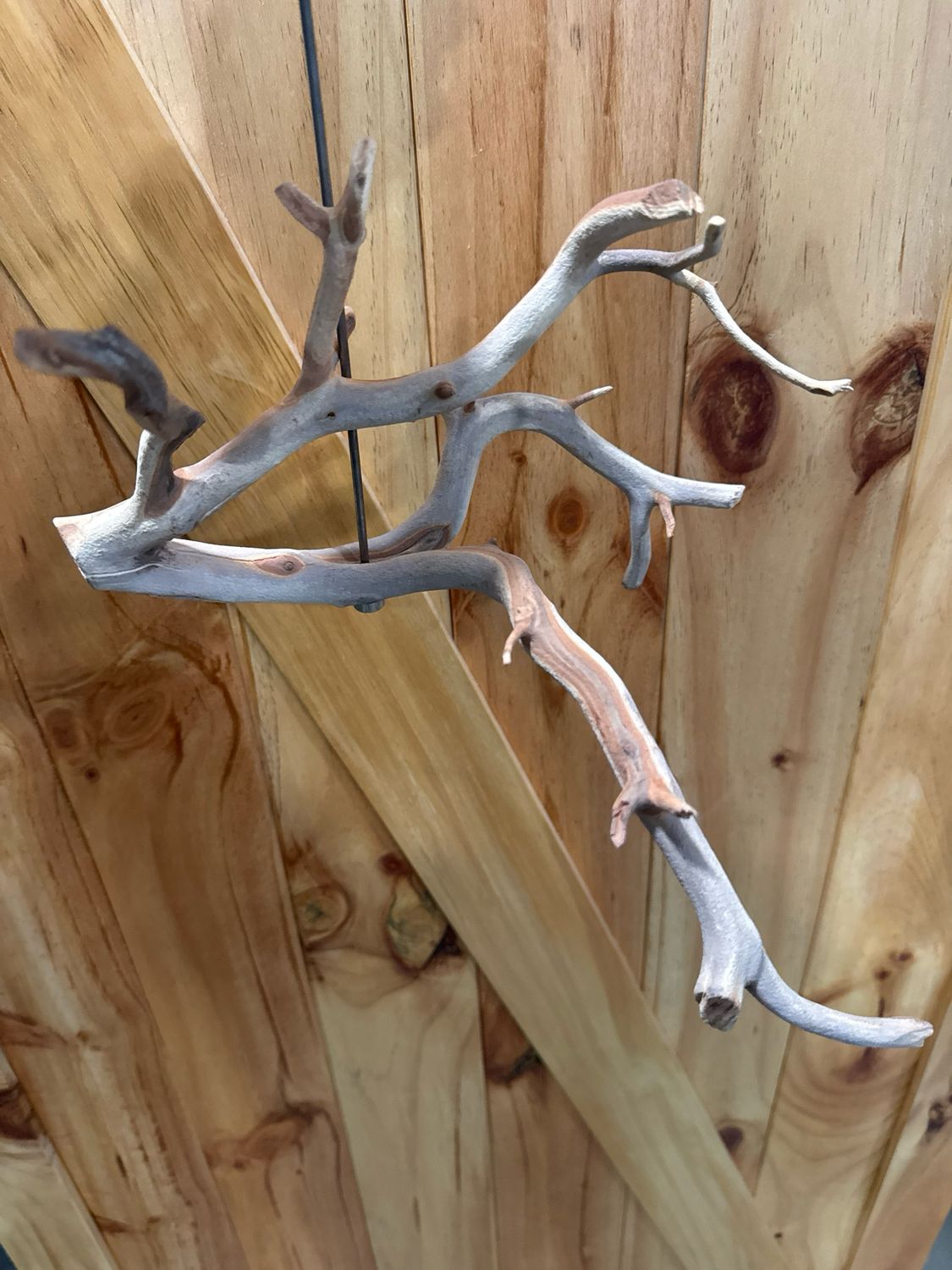 Swinging Sway Foraging Perch (Large)