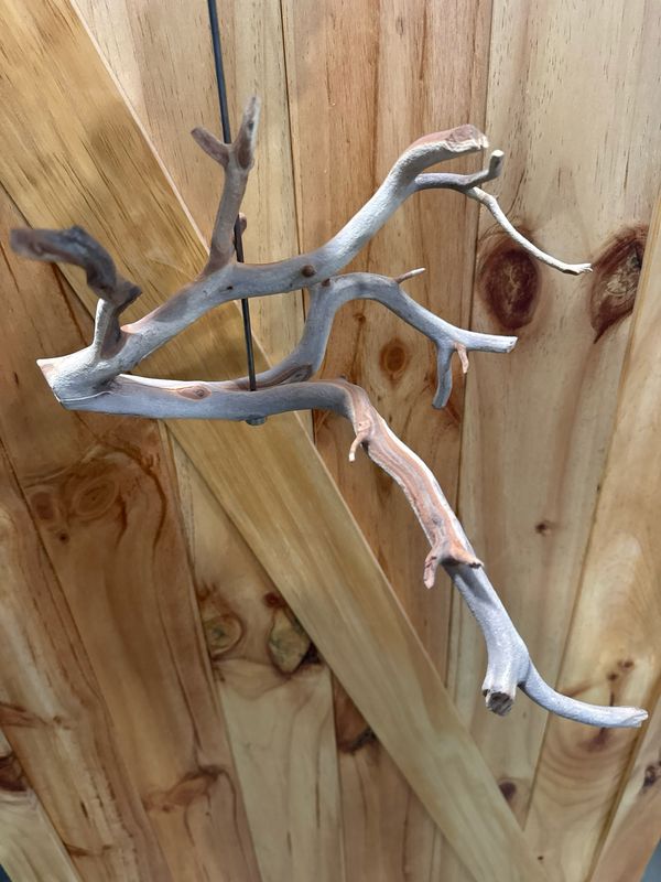 Swinging Sway Foraging Perch (Large)