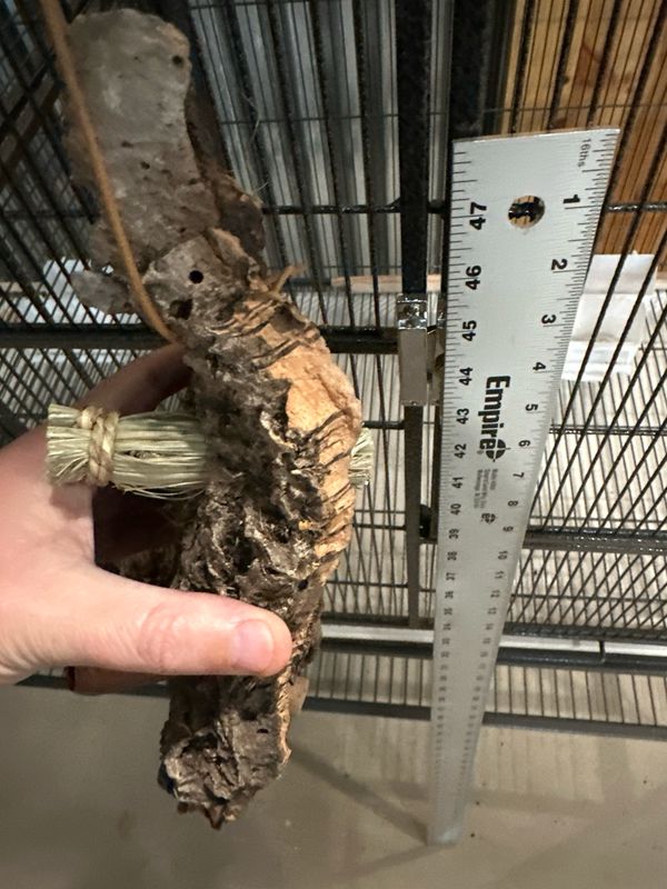 Chunky Corkwood Climbing Wall (Small)
