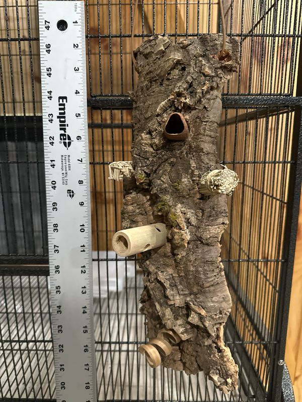 Chunky Corkwood Climbing Wall (Small)