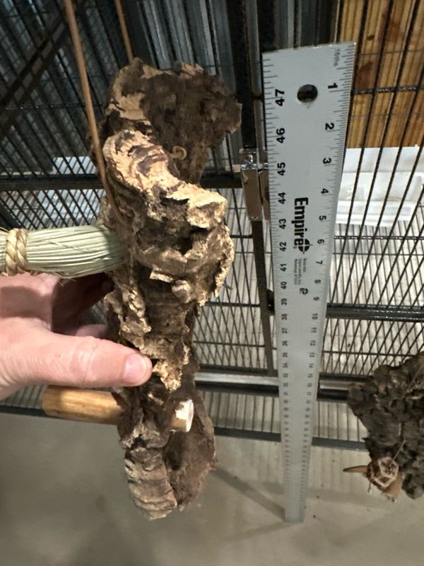 Chunky Corkwood Climbing Wall (Small)