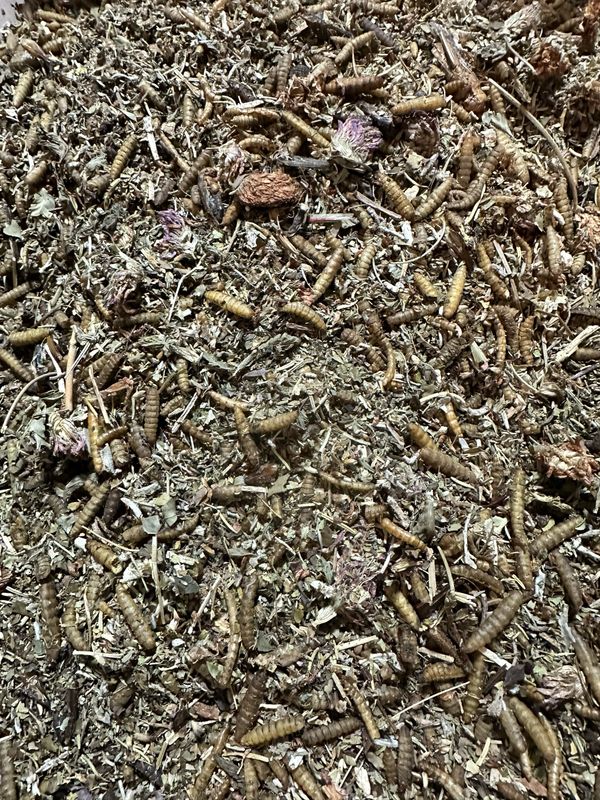 Greens-N-Grubs 4oz