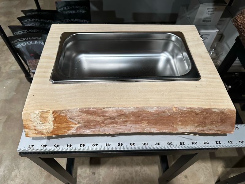 Biodiversity Foraging Cliff (Large Unfinished Clean Premium Pine Wood)