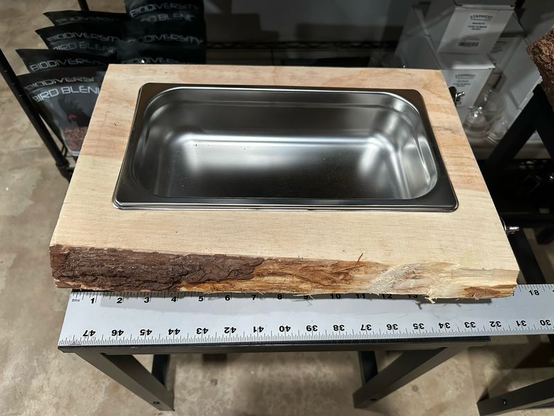 Biodiversity Foraging Cliff (Large Unfinished Clean Premium Pine Wood)