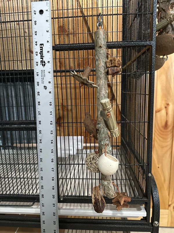 Multimodal Melaleuca Behavioral Biostructure Small