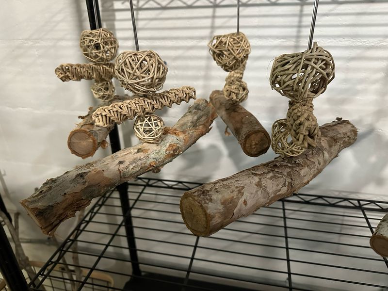 Multimodal Melaleuca Behavior Branch