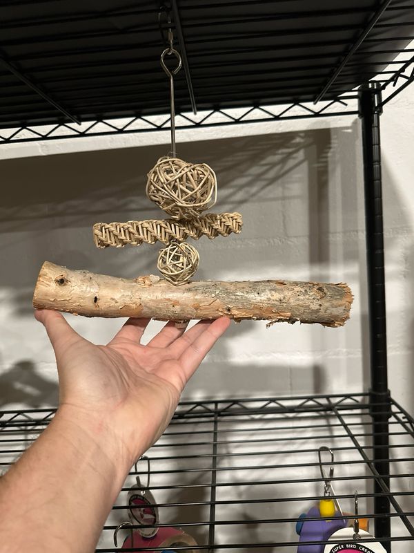 Multimodal Melaleuca Behavior Branch
