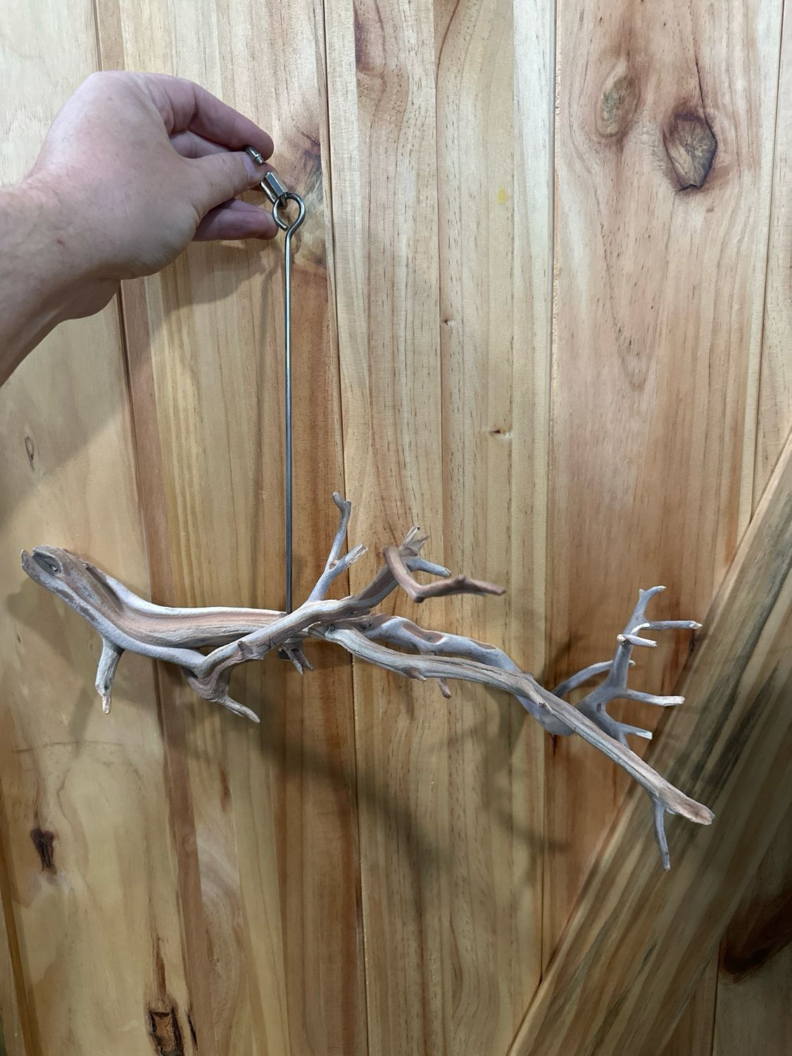 Swinging Sway Foraging Perch (Medium)