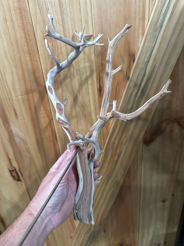 Swinging Sway Foraging Perch (Medium)