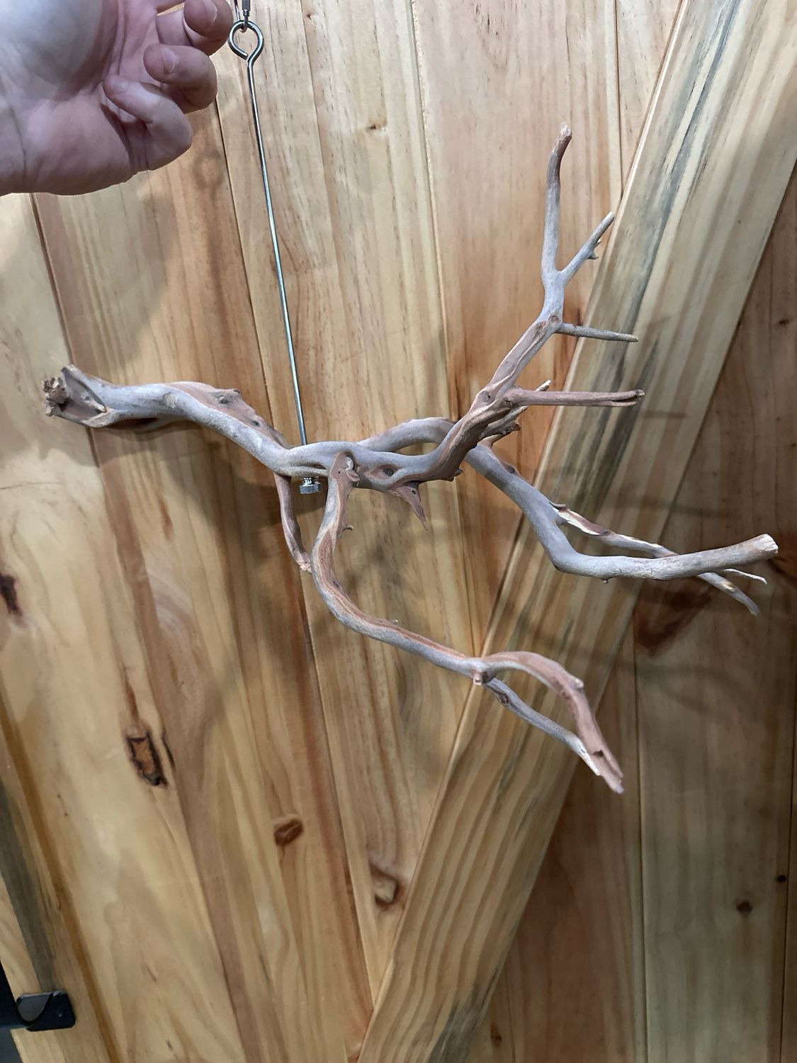 Swinging Sway Foraging Perch (Large)