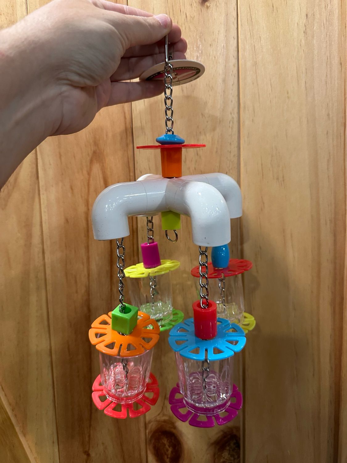 4-way Carousel Forager