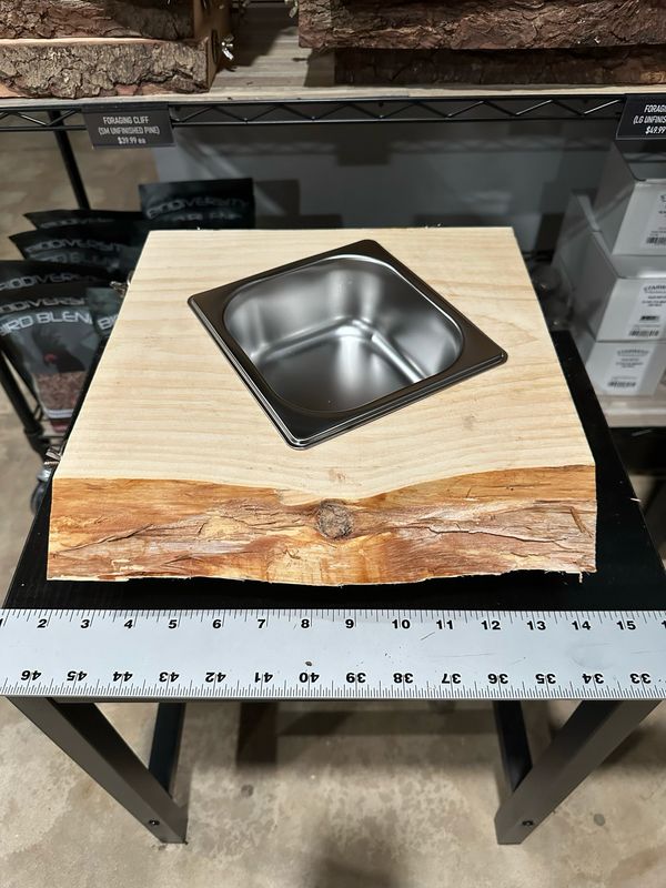 Biodiversity Foraging Cliff (Small Unfinished Premium Pine Wood)
