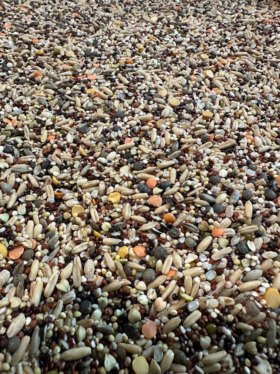 Biodiversity Soak Sprint (1lb)