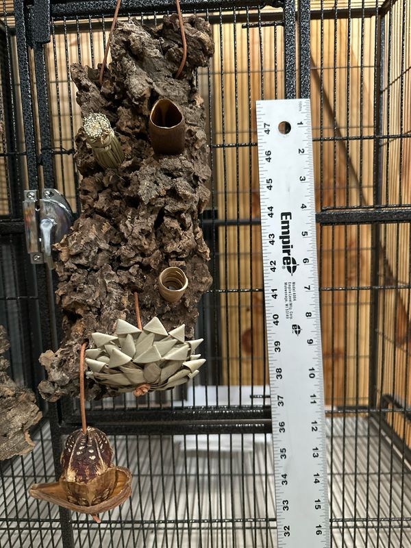 Chunky Corkwood Climbing Wall (Small)