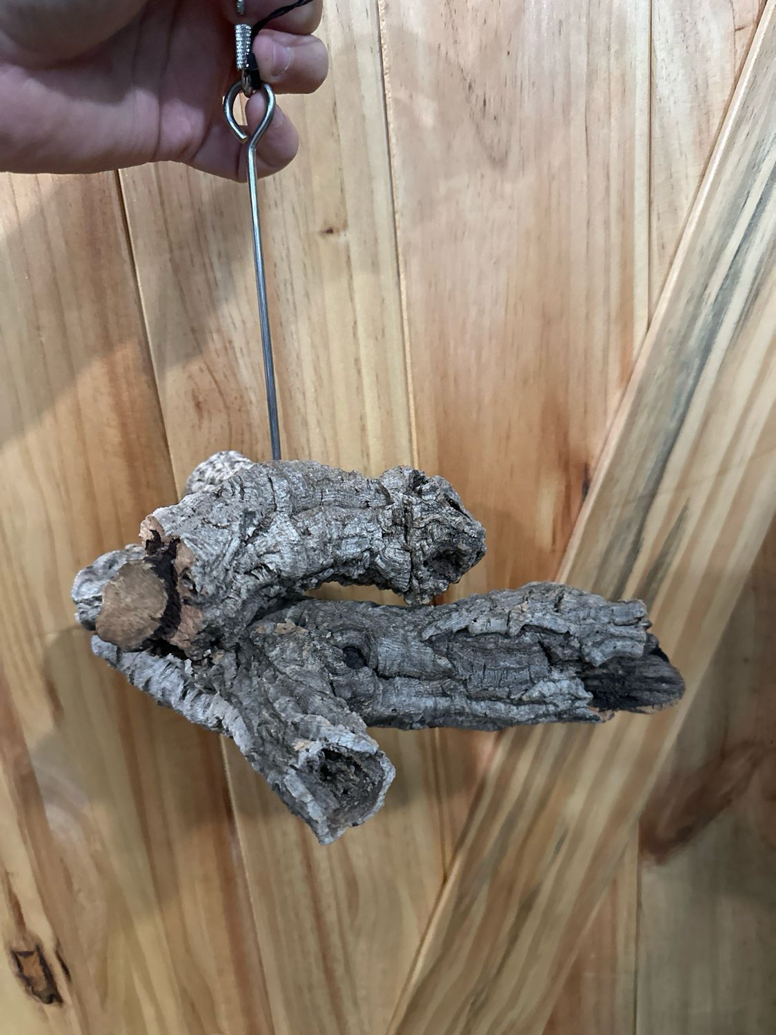 Corkwood Foraging Platform Perch