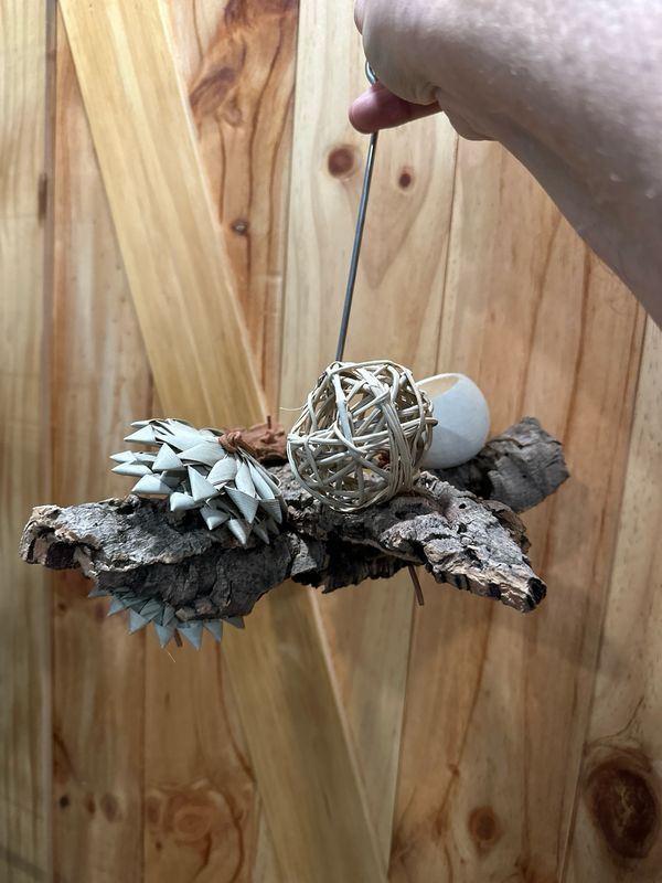 Corkwood Foraging Platform Perch