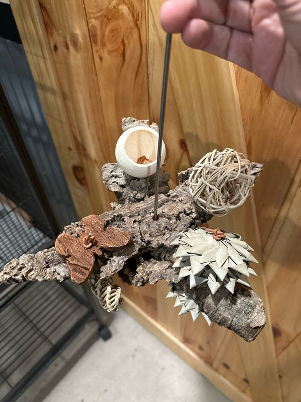Corkwood Foraging Platform Perch