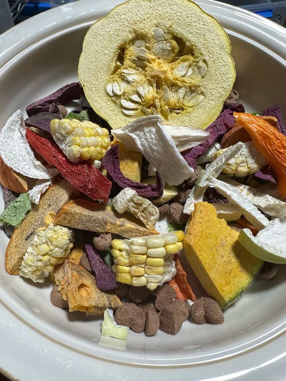 Biodiversity Freeze-Dried AUTUMN Bird Bites (Medium-Large Chunks For Any Size Bird) 6oz Bag