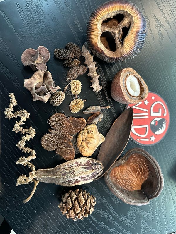Beak Botanical Bonanza Foraging Pack