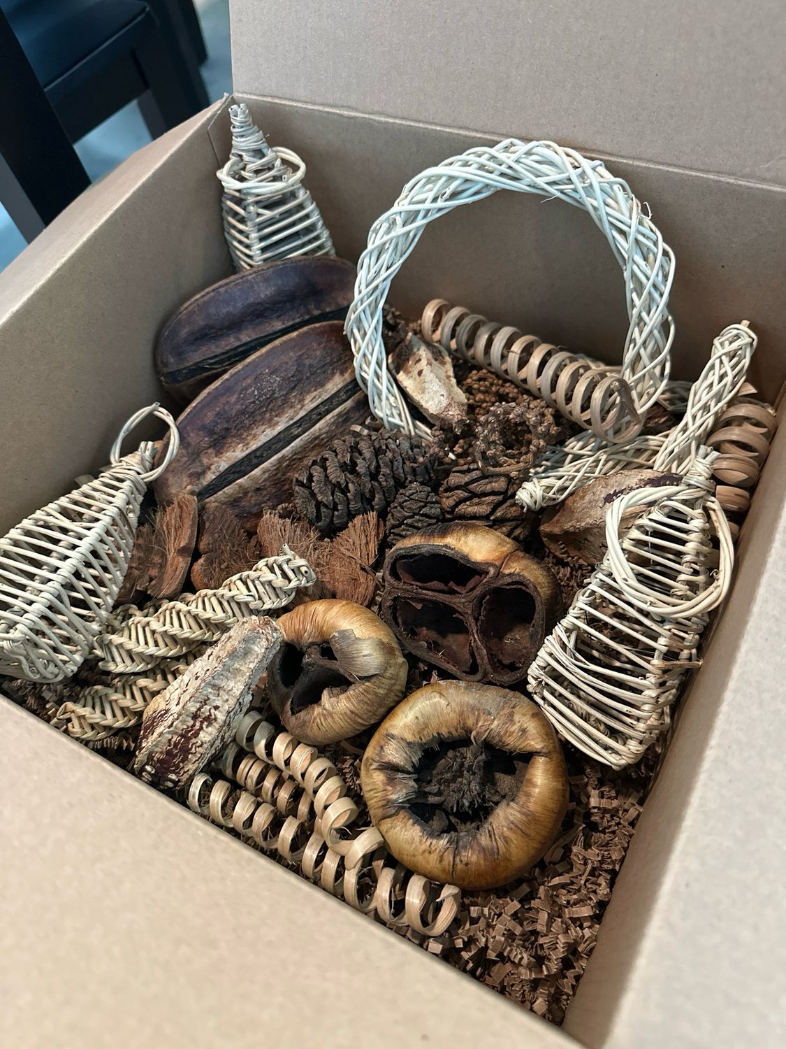Biodiversity Bits &amp; Bobs Bonanza Bundle Box