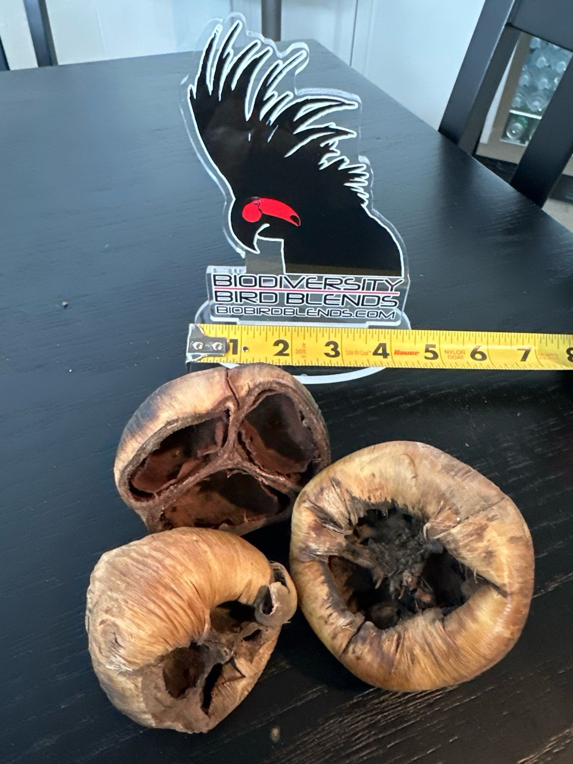 Palmyra Pods (3 Pack)