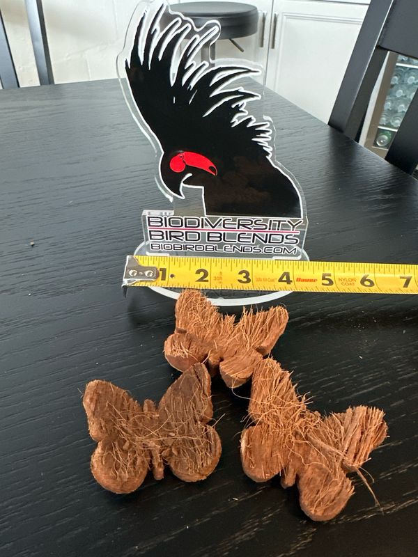 Coconut Husk Butterflies (3 Pack)