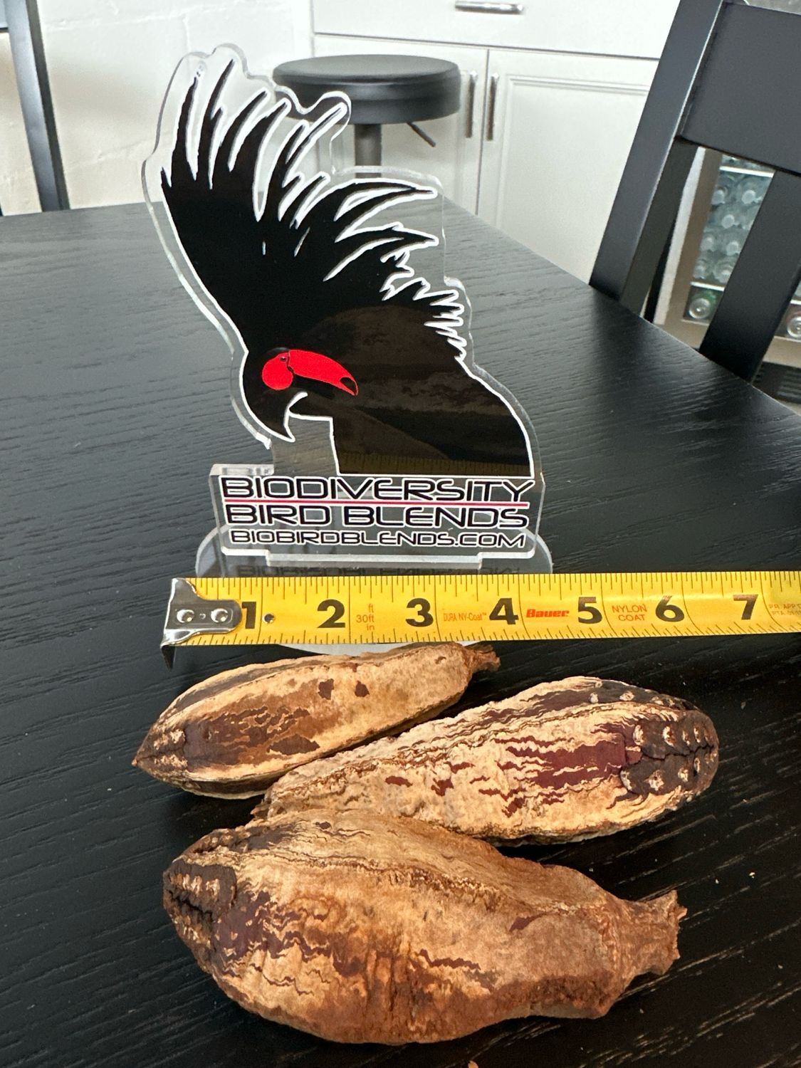 Mahogany Pods (3 Pack)