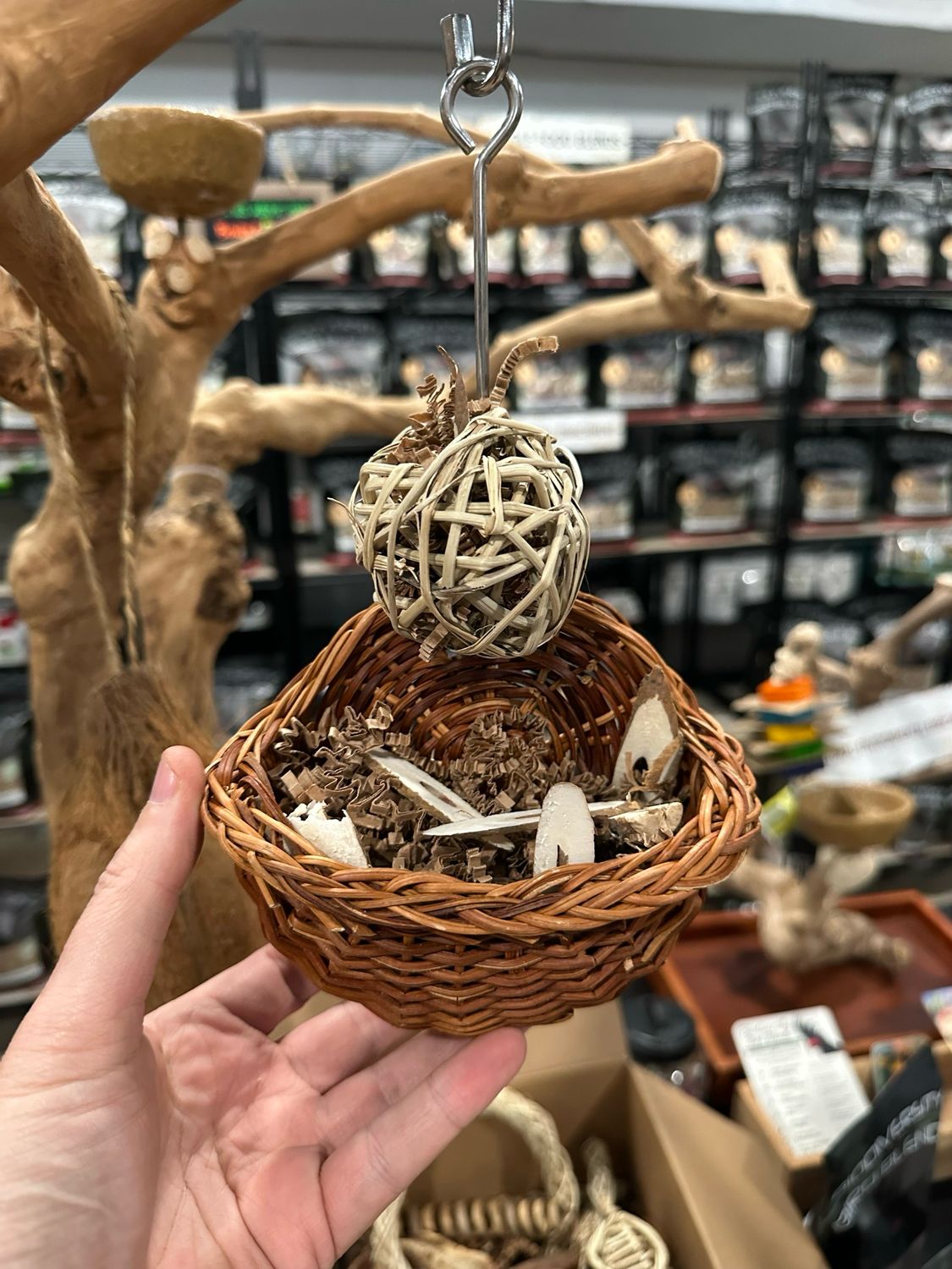 Biodiversity Bounty Basket Forager
