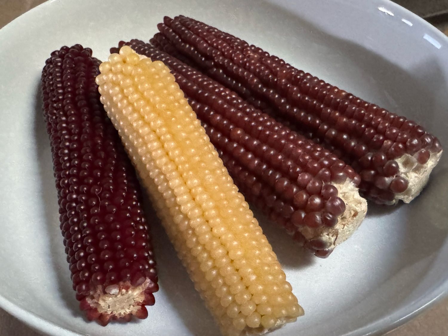 Autumn Corn Cobs