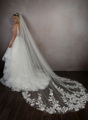 Shimmer Lace Train Veil