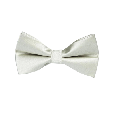 Groomsmen Bow Tie