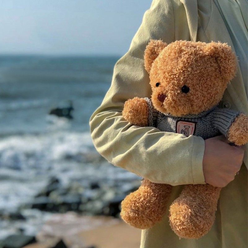 Factory Wholesale Sweater Teddy Bear Doll Plush Toy Bear Pillow Cloth Doll Wedding Gift Bear