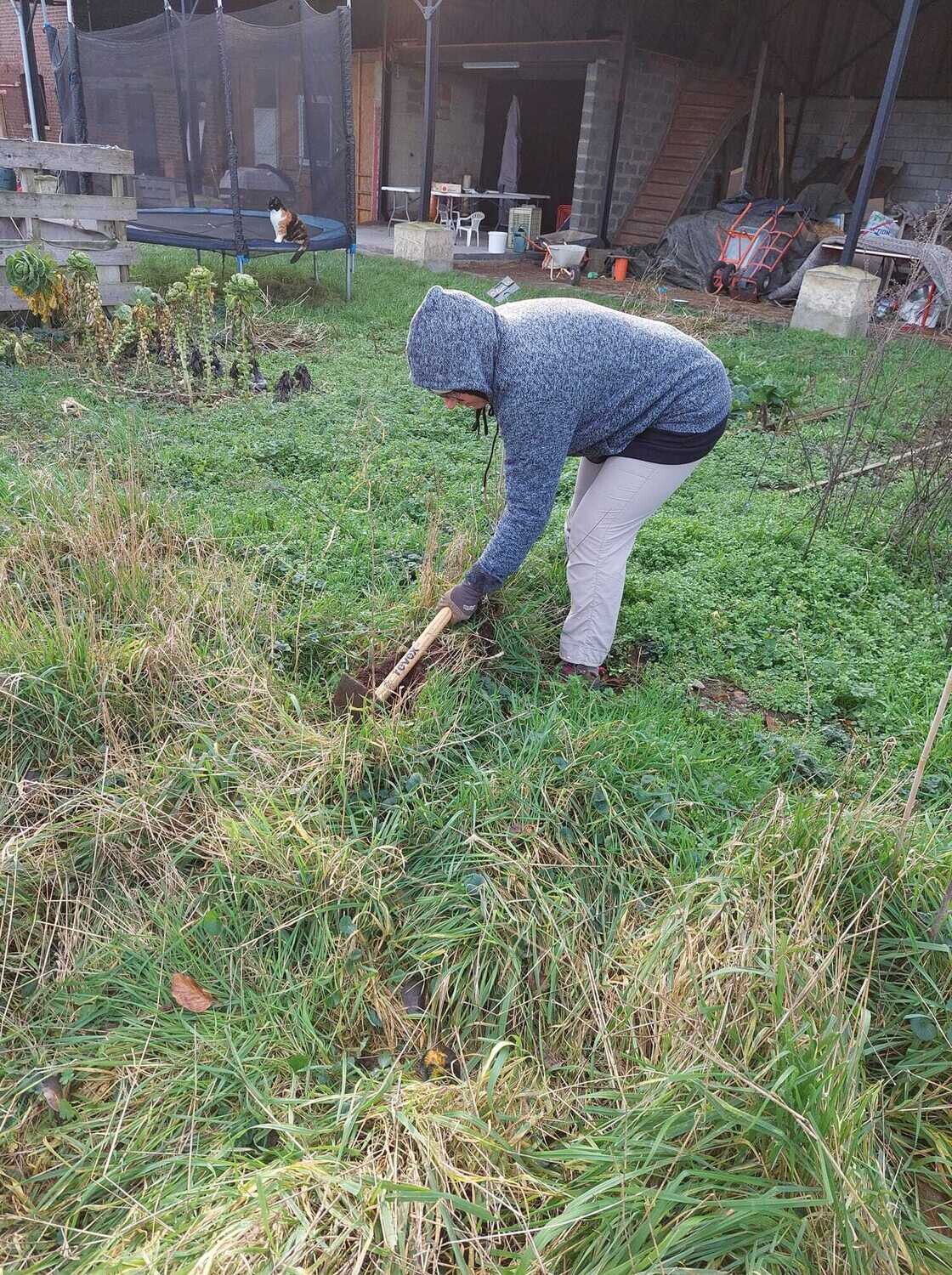 Chantier participatif du 5 février 2023