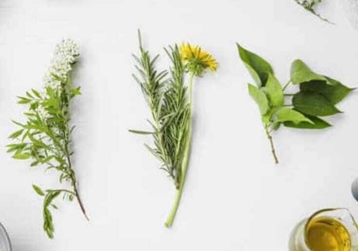 Fabrication de produits cosmétiques du 5 mars 2023