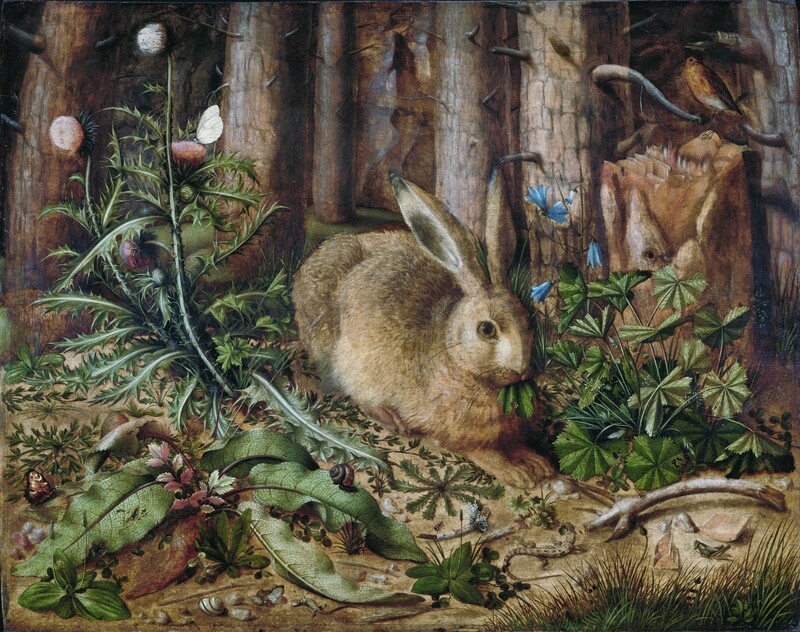 A Hare in the Forest.