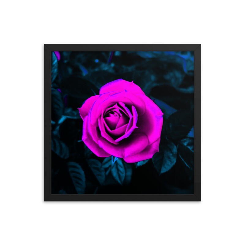 DARK ROSE framed print