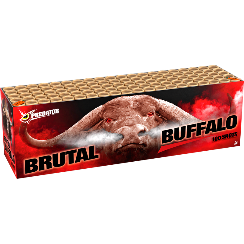 Lesli - Brutal Buffalo