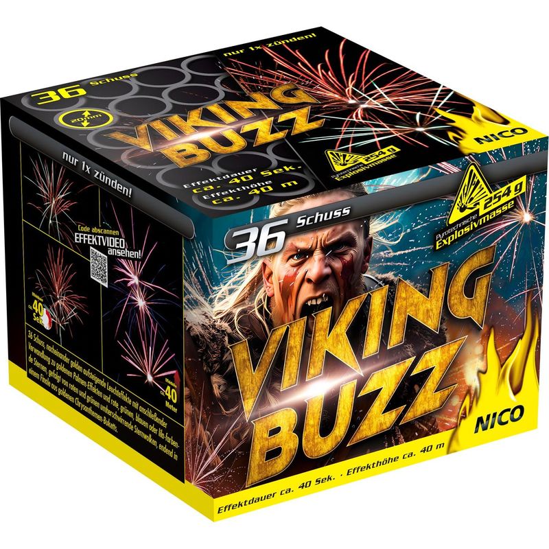 Nico - Viking Buzz