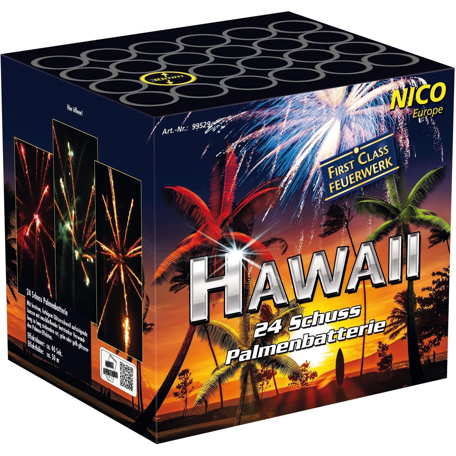 Nico - Hawaii
